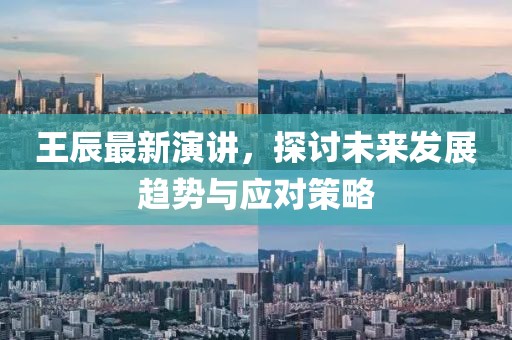 王辰最新演讲，探讨未来发展趋势与应对策略