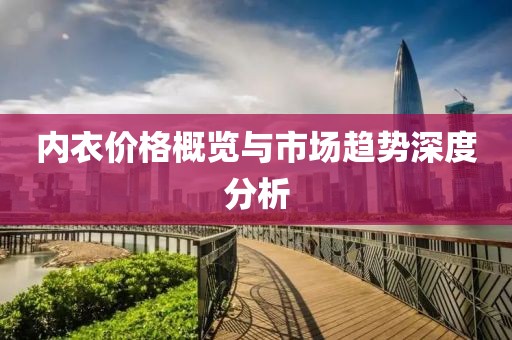 内衣价格概览与市场趋势深度分析