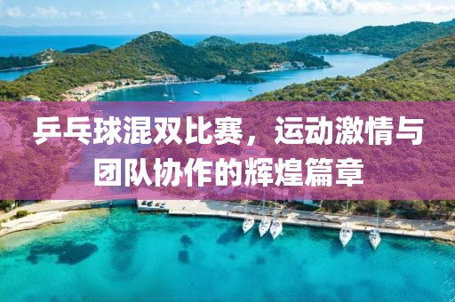 乒乓球混双比赛，运动激情与团队协作的辉煌篇章