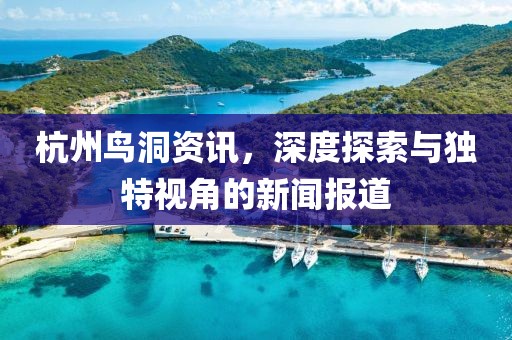 杭州鸟洞资讯，深度探索与独特视角的新闻报道