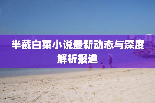 半截白菜小说最新动态与深度解析报道