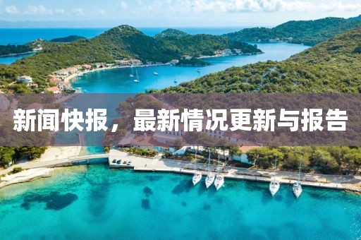 新闻快报，最新情况更新与报告