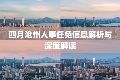 四月沧州人事任免信息解析与深度解读