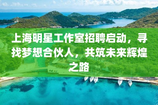 上海明星工作室招聘启动，寻找梦想合伙人，共筑未来辉煌之路
