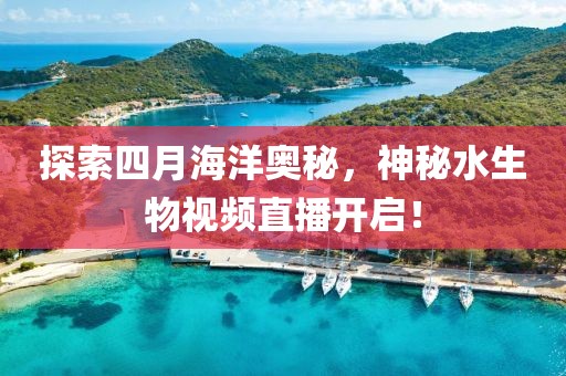 探索四月海洋奥秘，神秘水生物视频直播开启！