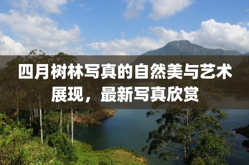 四月树林写真的自然美与艺术展现，最新写真欣赏