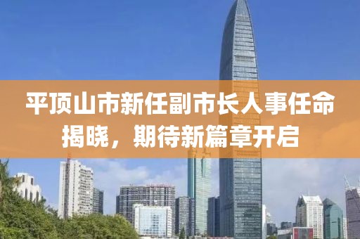 平顶山市新任副市长人事任命揭晓，期待新篇章开启
