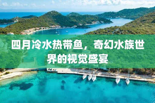 四月冷水热带鱼，奇幻水族世界的视觉盛宴
