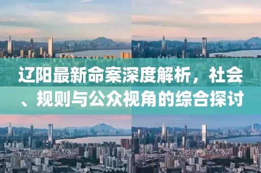辽阳最新命案深度解析，社会、规则与公众视角的综合探讨