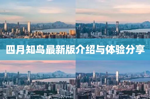 四月知鸟最新版介绍与体验分享
