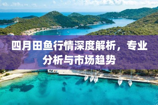 四月田鱼行情深度解析，专业分析与市场趋势
