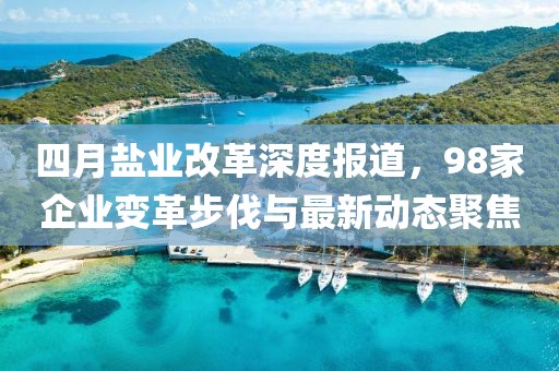 四月盐业改革深度报道，98家企业变革步伐与最新动态聚焦