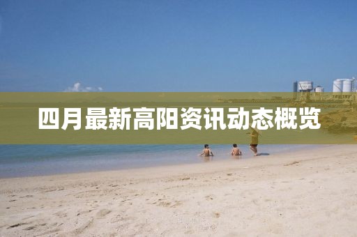 四月最新高阳资讯动态概览