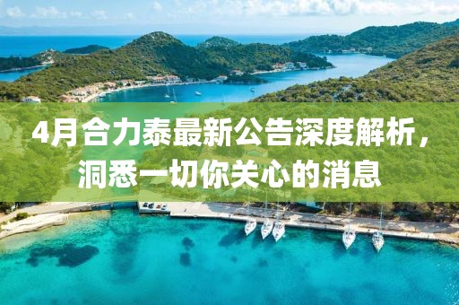 4月合力泰最新公告深度解析，洞悉一切你关心的消息