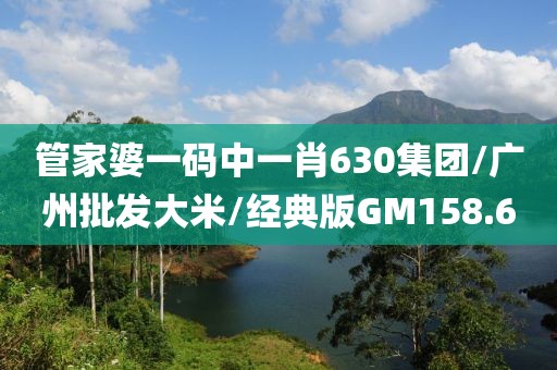管家婆一码中一肖630集团/广州批发大米/经典版GM158.6
