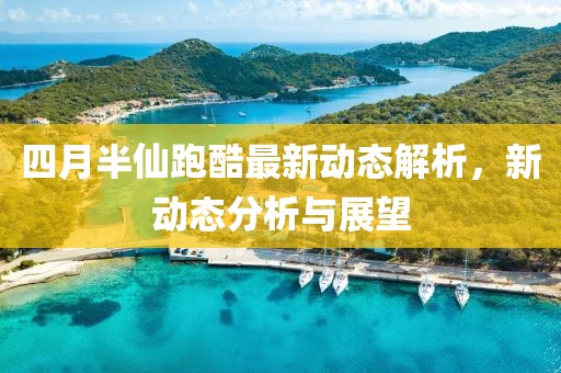四月半仙跑酷最新动态解析，新动态分析与展望