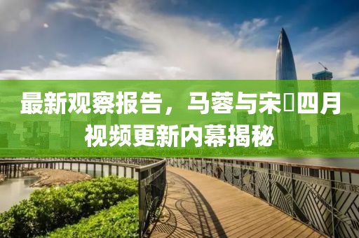 最新观察报告，马蓉与宋喆四月视频更新内幕揭秘