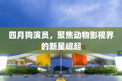四月狗演员，聚焦动物影视界的新星崛起