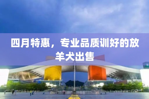 四月特惠，专业品质训好的放羊犬出售