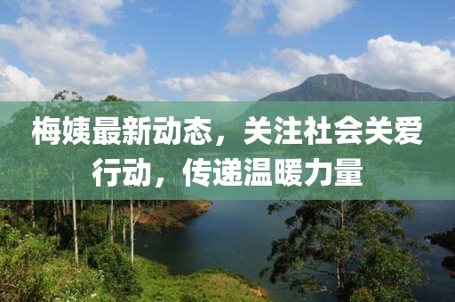梅姨最新动态，关注社会关爱行动，传递温暖力量