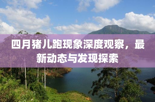 四月猪儿跑现象深度观察，最新动态与发现探索