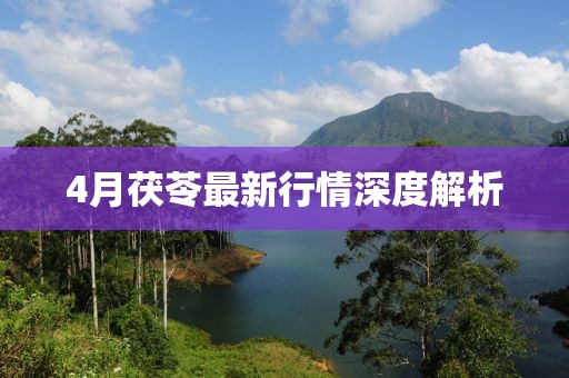 4月茯苓最新行情深度解析