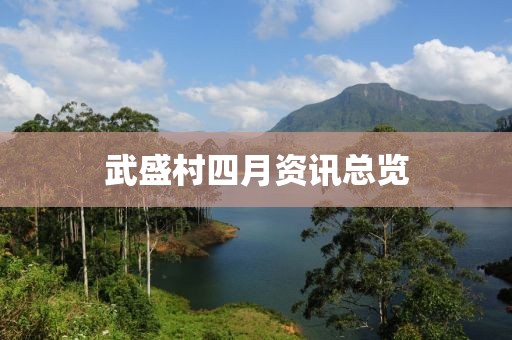 武盛村四月资讯总览
