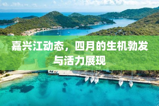 嘉兴江动态，四月的生机勃发与活力展现