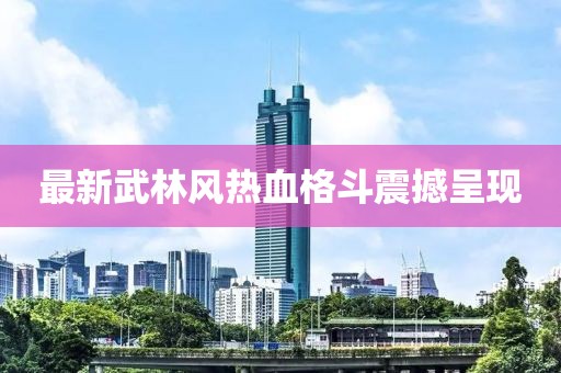 最新武林风热血格斗震撼呈现