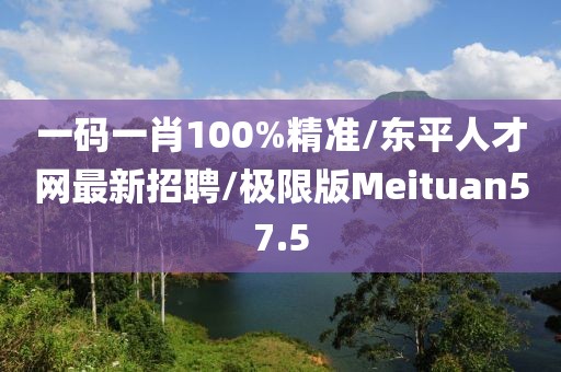 一码一肖100%精准/东平人才网最新招聘/极限版Meituan57.5