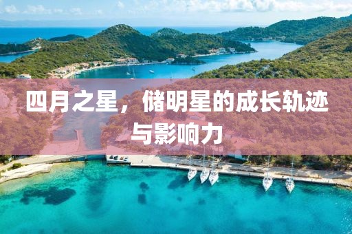 四月之星，储明星的成长轨迹与影响力