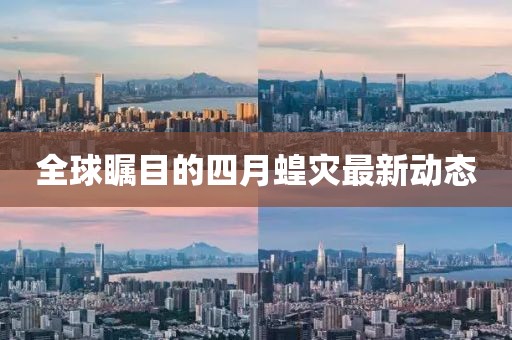 全球瞩目的四月蝗灾最新动态