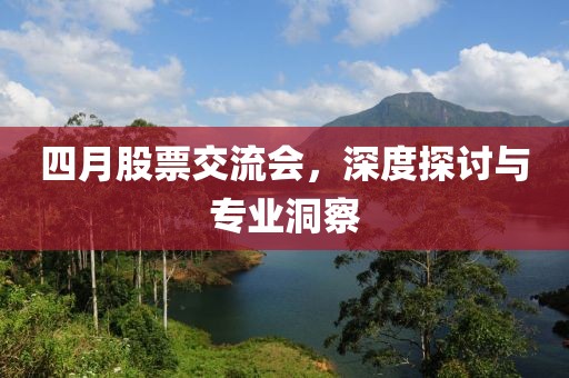 四月股票交流会，深度探讨与专业洞察