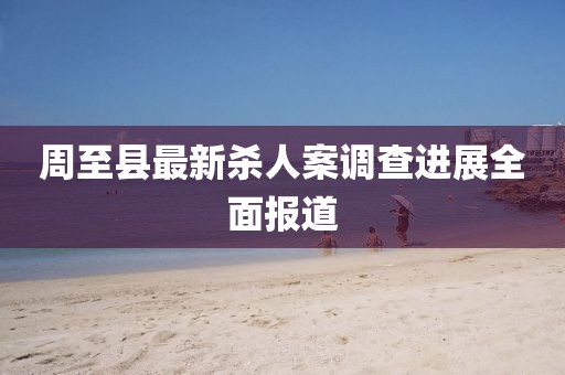 周至县最新杀人案调查进展全面报道