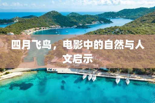 四月飞鸟，电影中的自然与人文启示
