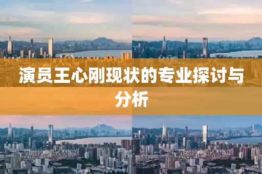演员王心刚现状的专业探讨与分析