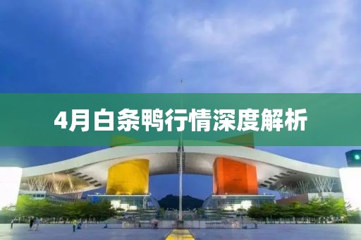 4月白条鸭行情深度解析