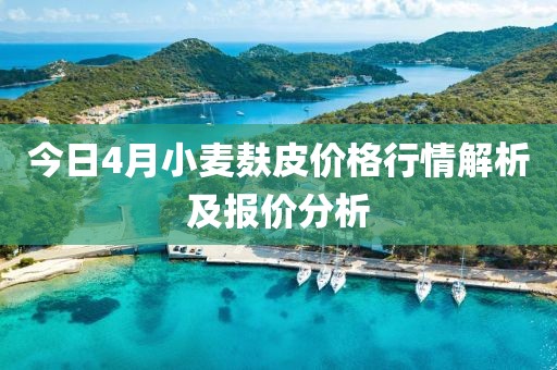 今日4月小麦麸皮价格行情解析及报价分析