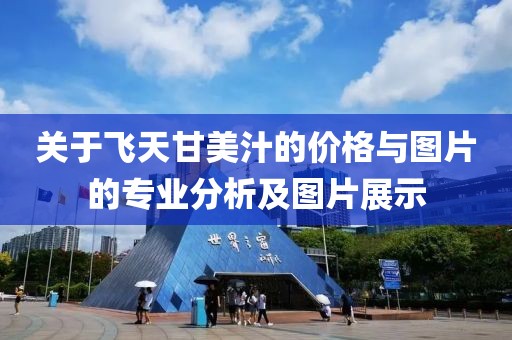 关于飞天甘美汁的价格与图片的专业分析及图片展示