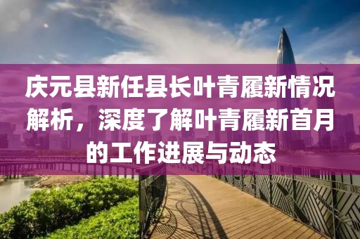 庆元县新任县长叶青履新情况解析，深度了解叶青履新首月的工作进展与动态