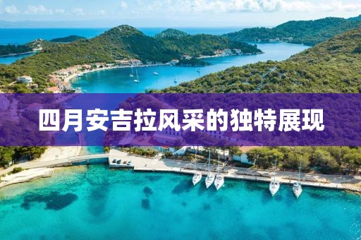 四月安吉拉风采的独特展现