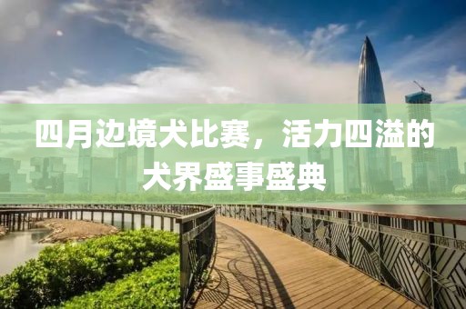 四月边境犬比赛，活力四溢的犬界盛事盛典