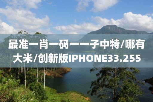 最准一肖一码一一子中特/哪有大米/创新版IPHONE33.255