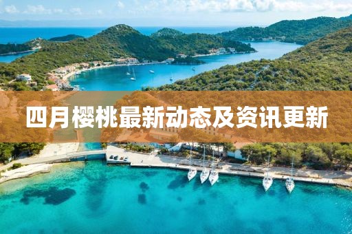 四月樱桃最新动态及资讯更新