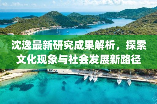 沈逸最新研究成果解析，探索文化现象与社会发展新路径