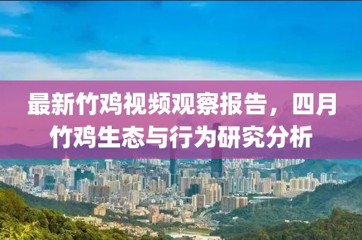 最新竹鸡视频观察报告，四月竹鸡生态与行为研究分析