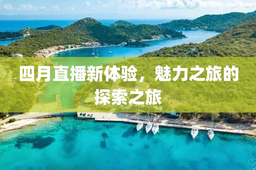 四月直播新体验，魅力之旅的探索之旅