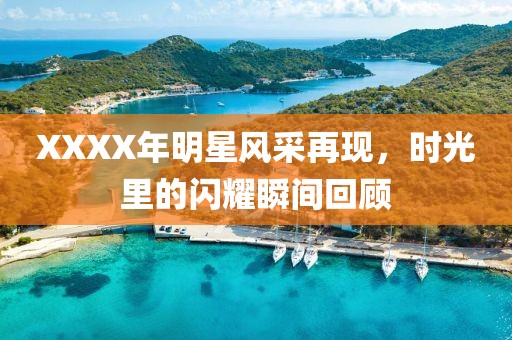 XXXX年明星风采再现，时光里的闪耀瞬间回顾