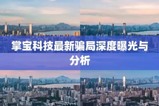 掌宝科技最新骗局深度曝光与分析