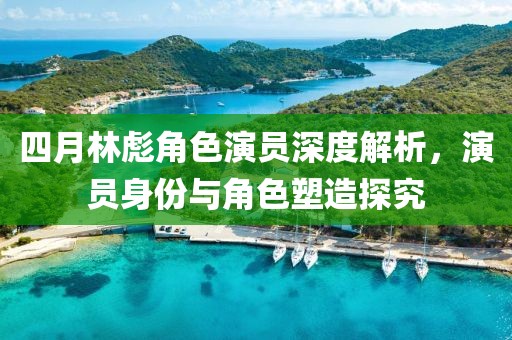 四月林彪角色演员深度解析，演员身份与角色塑造探究